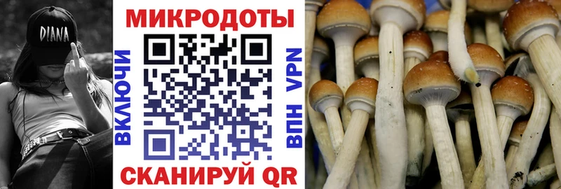 Галлюциногенные грибы ЛСД  Заволжск 